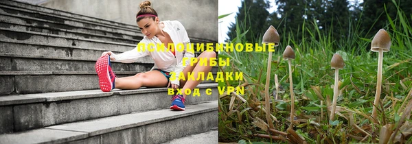 ALPHA PVP Аркадак