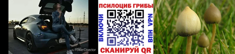 гидра зеркало Людиново Псилоцибиновые грибы MAGIC MUSHROOMS
